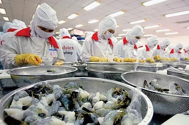 Chế biến tôm xuất khẩu.