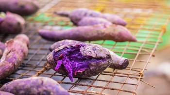 Ăn gì tốt cho tim mạch?