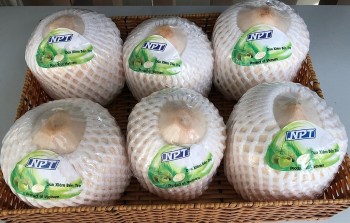 Dừa được dự báo lọt top xuất khẩu tỷ đô vào năm 2024