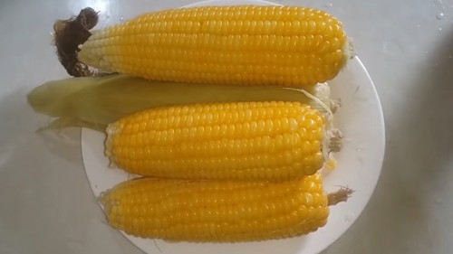 Những người không nên ăn ngô luộc vào buổi sáng
