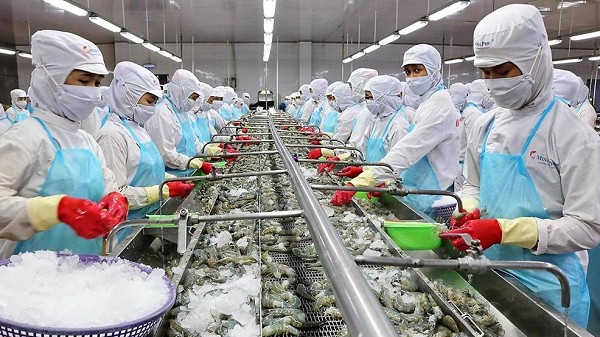 Xuất khẩu tuần 23-29/10: Xuất khẩu điều tăng 3 chữ số; xuất khẩu hồ tiêu các loại đạt 16.630 tấn