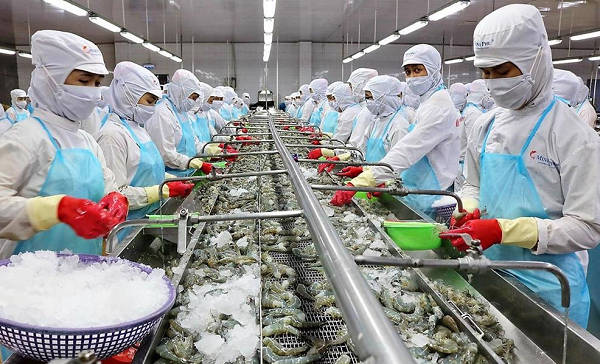 Xuất khẩu tuần 23-29/10: Xuất khẩu điều tăng 3 chữ số; xuất khẩu hồ tiêu các loại đạt 16.630 tấn