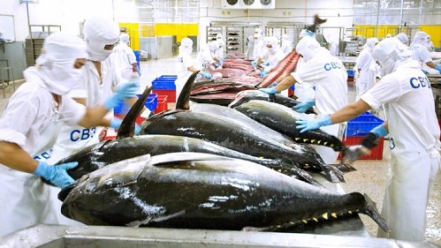 Xuất khẩu cá ngừ sang Canada trong tháng 9 đảo chiều tăng 44%