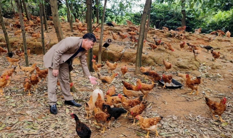 Gà đồi Ngân Hà - Thương hiệu gà sạch, ngon, uy tín từ Hà Tĩnh