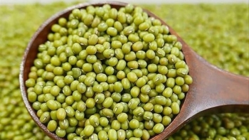 Đậu xanh - Vị thuốc quý trong Đông y