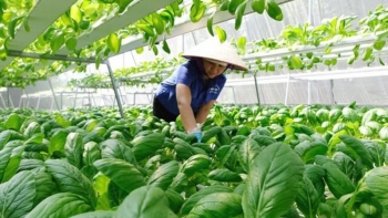 Hội Nông dân tỉnh Hưng Yên tích cực thúc đẩy phát triển kinh tế tập thể