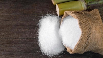 Giá đường neo cao: Doanh nghiệp lo sẽ ảnh hưởng đến sản xuất hàng Tết