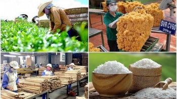 10 tháng năm 2023, xuất khẩu nông, lâm, thủy sản đạt hơn 43 tỷ USD