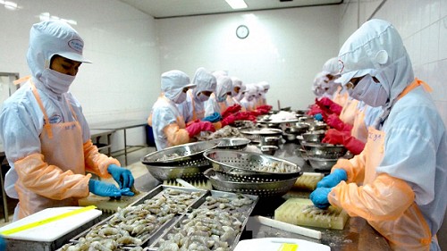 Xuất khẩu thủy sản cuối năm: Triển vọng tích cực cho cá tra, cá ngừ