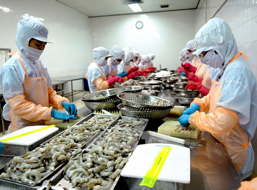 Xuất khẩu thủy sản cuối năm: Triển vọng tích cực cho cá tra, cá ngừ