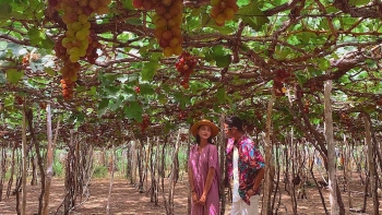 “Ngày văn hóa, du lịch Ninh Thuận” tại Cần Thơ sẽ diễn ra từ ngày 3/11 – 5/11