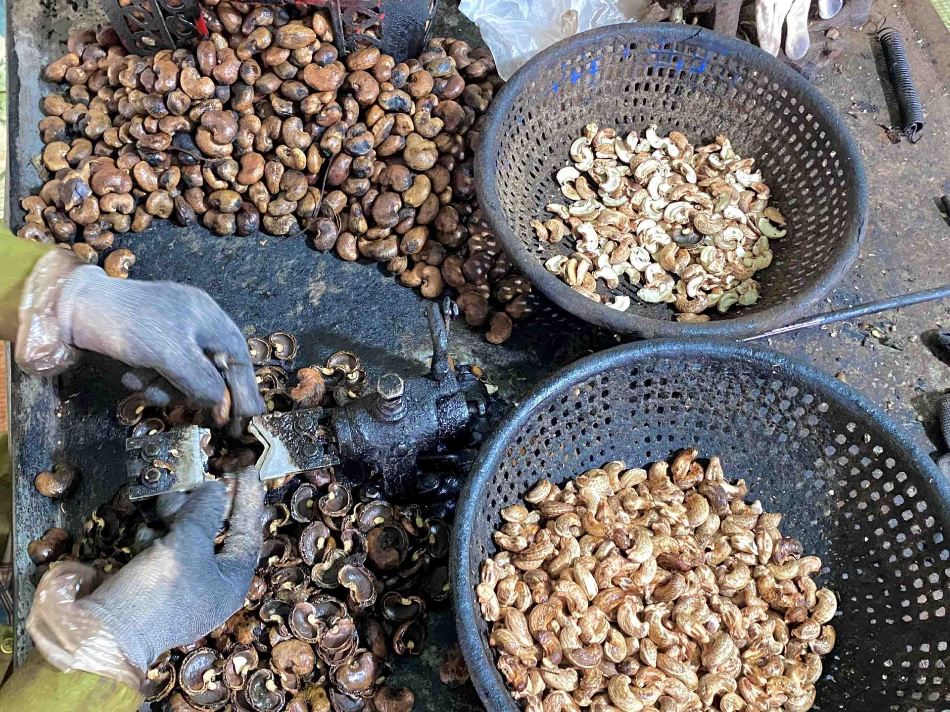 Công đoạn chẻ điều thủ công càn tỉ mỉ và cẩn thận.