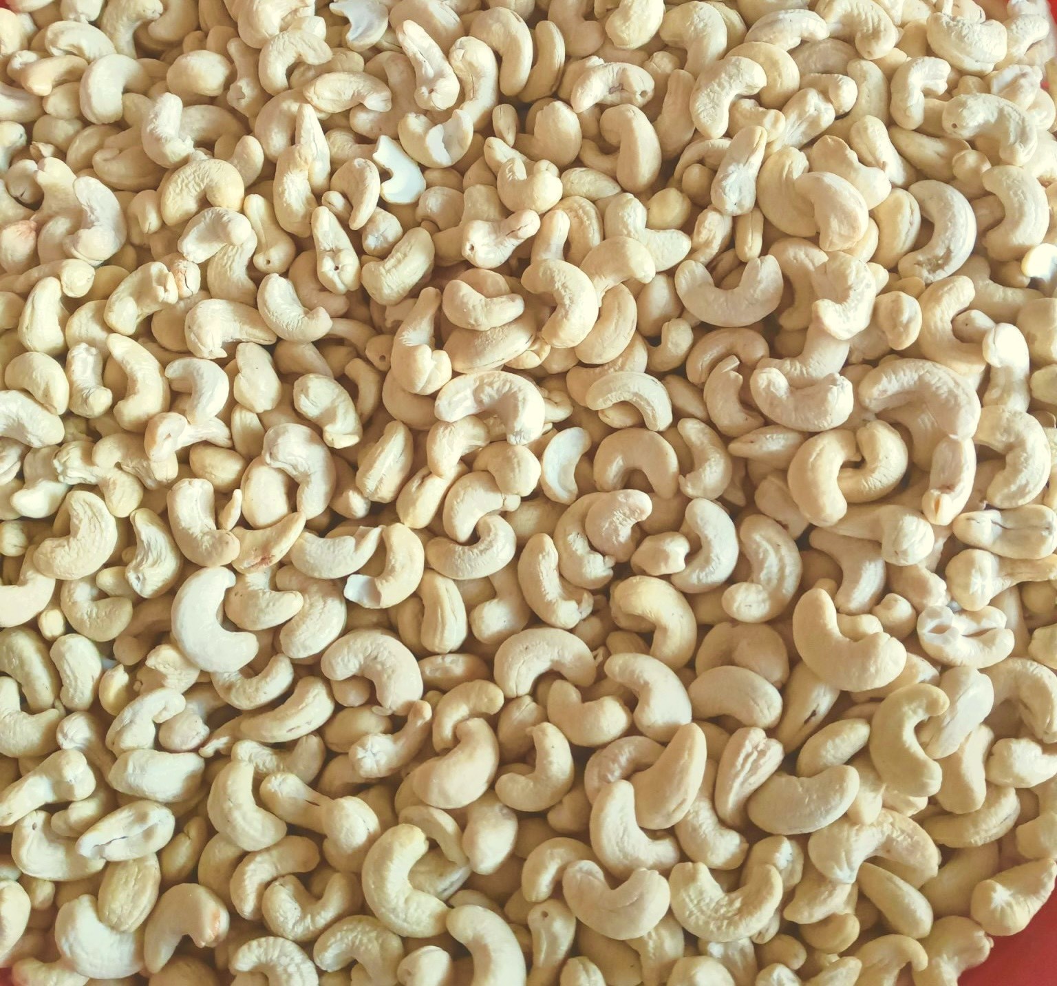 Hạt điều Nguyên Thảo – Món quà thuần khiết từ vùng đất đỏ Gia Lai