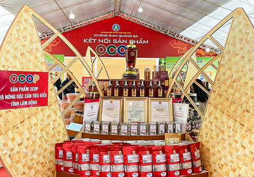 Gian hàng sản phẩm OCOP và nông đặc sản tiêu biểu tỉnh Lâm Đồng Gian hàng sản phẩm OCOP và nông đặc sản tiêu biểu tỉnh Lâm Đồng
