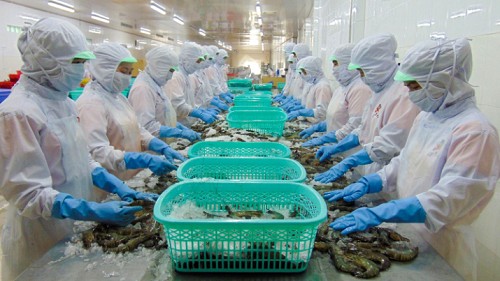 Xuất khẩu tôm sang Trung Quốc và Hong Kong tăng trưởng dương