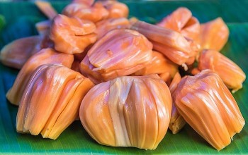 Giá mít ruột đỏ tăng mạnh, nông dân lãi cao