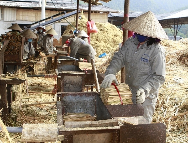 Thanh Hoá vùng luồng Châu Lang bậc nhất xứ thanh Thanh Hoá vùng luồng Châu Lang bậc nhất xứ thanh