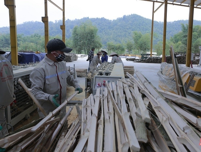 Thanh Hoá vùng luồng Châu Lang bậc nhất xứ thanh Thanh Hoá vùng luồng Châu Lang bậc nhất xứ thanh