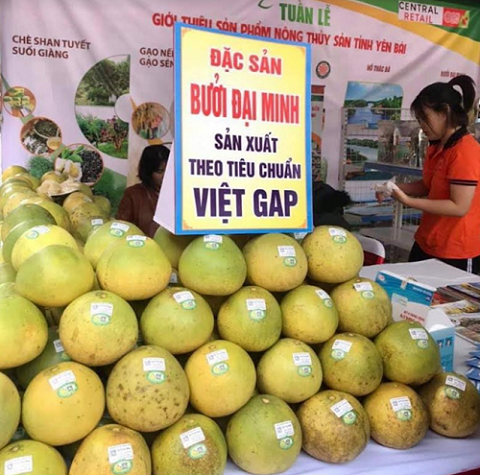 Nhiều hoạt động hấp dẫn tại Ngày hội khám phá Danh thắng quốc gia hồ Thác Bà và sản vật bưởi Đại Minh