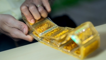 Giá vàng hôm nay 7/11/2023: Vàng trong nước tiếp tục lao dốc