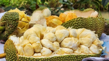 Mít tố nữ sầu riêng giá 90.000/kg vẫn đắt hàng, thanh long ruột đỏ rớt giá thê thảm