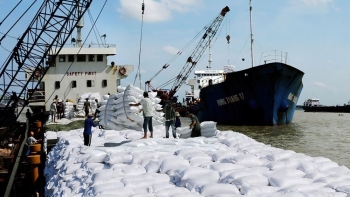 Giá gạo xuất khẩu Việt Nam tăng mạnh, tiếp tục lập đỉnh mới