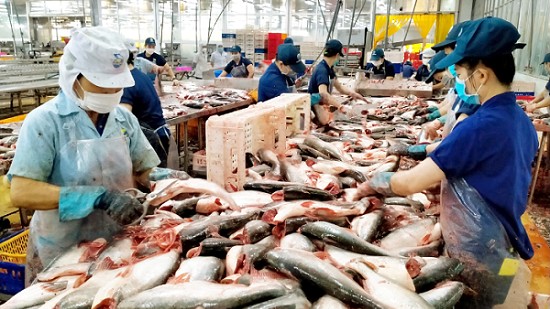 Xuất khẩu cá tra sang EU giảm 19% so với cùng kỳ năm 2022