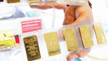 Giá vàng hôm nay 8/11/2023: Vàng trong nước mất mốc 70 triệu đồng/lượng