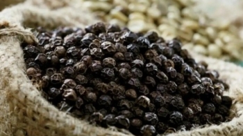 Việt Nam xuất khẩu gần 224.000 tấn hồ tiêu sang Trung Quốc trong 10 tháng