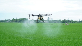 Bắc Ninh đẩy mạnh ứng dụng công nghệ cao trong sản xuất nông nghiệp