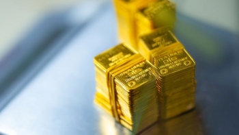 Giá vàng hôm nay 9/11/2023: Vàng trong nước quay đầu tăng mạnh