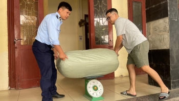 Cao bằng: Tạm giữ phương tiện vận chuyển 115kg giun đất sấy khô không rõ nguồn gốc
