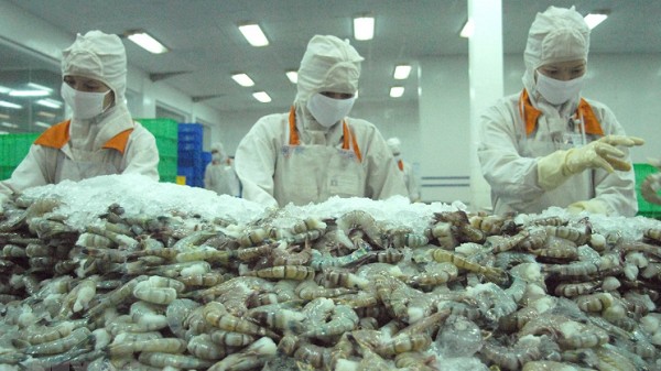 Xuất khẩu tôm sú sang Nhật Bản quý III/2023: Khối lượng tăng, giá giảm