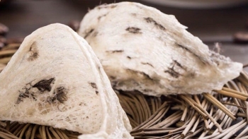 Sắp xuất khẩu lô tổ yến đầu tiên sang Trung Quốc