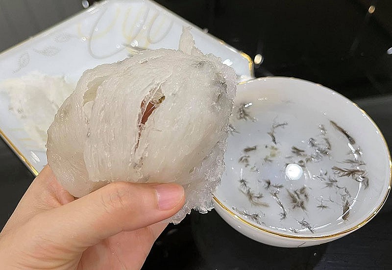 Tổ yến được coi là một trong những thực phẩm đắt đỏ nhất thế giới