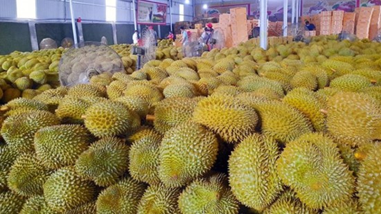 Xuất khẩu hàng hóa sang Trung Quốc đạt gần 50 tỷ USD