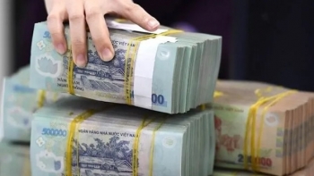 Tin kinh tế - thị trường ngày 12/11/2023: Bát nháo thị trường sâm Ngọc Linh; Lãi cho cho vay mua nhà rơi xuống “đáy”