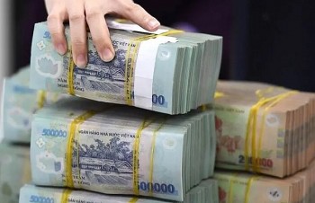 Tin kinh tế - thị trường ngày 12/11/2023: Bát nháo thị trường sâm Ngọc Linh; Lãi cho cho vay mua nhà rơi xuống “đáy”