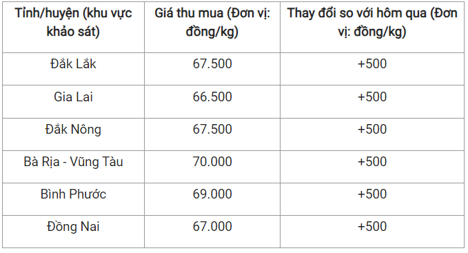 Cập nhật giá tiêu hôm nay.