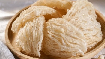 Việt Nam xuất khẩu lô tổ yến đầu tiên sang Trung Quốc