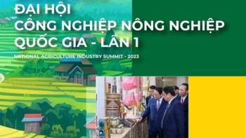 Tôn vinh doanh nghiệp, cá nhân uy tín trong lĩnh vực nông nghiệp năm 2023