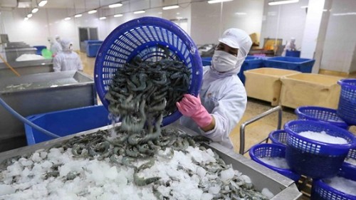 Xuất khẩu thủy sản sang Trung Quốc đang bắt đầu tăng tốc trở lại