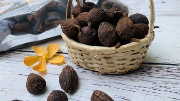 Thảo quả - Vị thuốc quý, gia vị thơm ngon