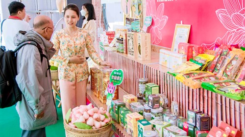 Khai mạc không gian trưng bày ngày hội “Hội quán Đất Sen hồng”