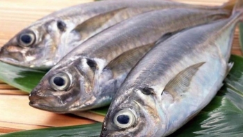 Những thực phẩm cần kiêng khi mang thai