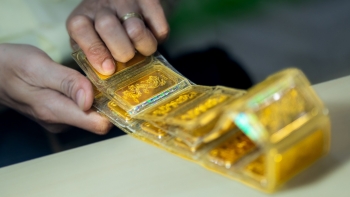 Giá vàng hôm nay 20/11/2023: Vàng trong nước duy trì mức gần 71 triệu đồng/lượng