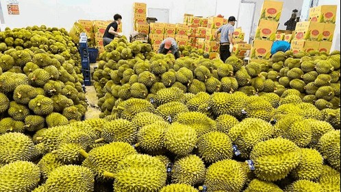 Xuất khẩu rau quả tự tin đạt mục tiêu trên 5 tỷ USD