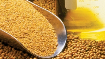 Bộ Tài chính không đồng ý giảm thuế nhập khẩu khô dầu đậu tương từ 2% xuống 0%