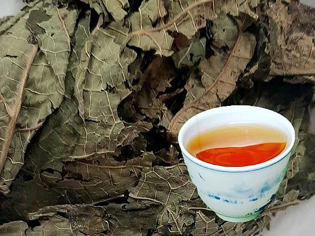 Nước lá đu đủ.