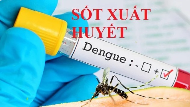Hà Nội phát hiện thêm tuýp D3 gây bệnh sốt xuất huyết